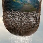 Морской Заговор: Тайна Устойчивого Рыболовства Постер Нетфликс Фильм